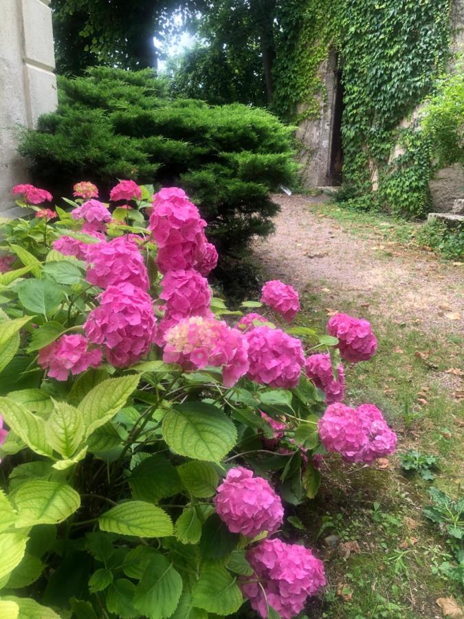 Bed and Breakfast Demeure Des Payratons Saint-Gerand-le-Puy Exteriér fotografie